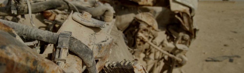 Future Beyond Repair
